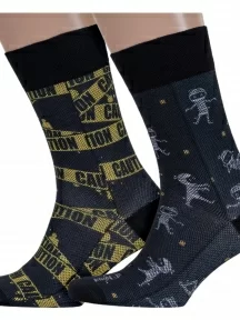 Комплект из 2 пар мужских носков DiWaRi, 2-20С-202СП, микс 1