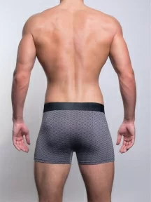 Мужские бамбуковые трусы-боксеры SD (by Salvador Dali), SD2040-2, СЕРЫЕ