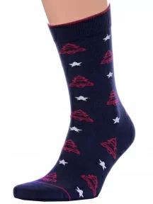 Мужские носки «Красная ветка», С-1360, СИНИЕ