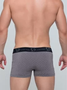 Мужские трусы-боксеры SD (by Salvador Dali), SD2017-2, СЕРЫЕ