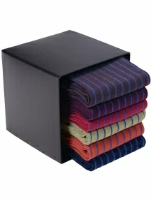 Набор мужских носков из мерсеризованного хлопка, 6 пар (ТМ Sergio di Calze), PG-18SC2-6, микс 2