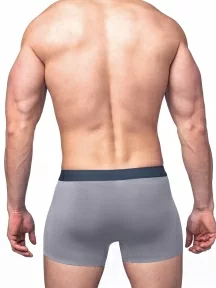 Мужские трусы-боксеры из модала Sergio Dallini, SD2908-1, СЕРЫЕ