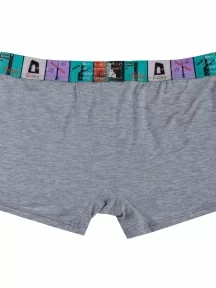 Мужские трусы-боксеры из вискозы Tuosite, TS8023-1, СЕРЫЕ