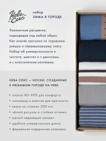 Набор из 5 пар мужских носков "Нева-Сокс" "Зима в городе" (НС-5-НМ46)