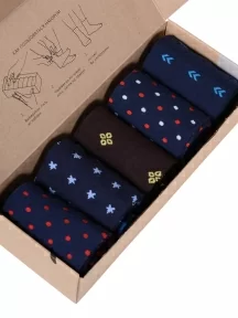 Набор из 5 пар мужских носков "Нева-Сокс", НС-5-НМ204, "Северный ветер"