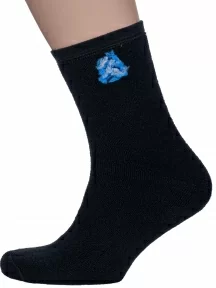 Мужские махровые носки Альтаир, С70, ЧЕРНЫЕ