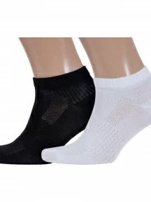 Комплект из 2 пар мужских носков Брестские (БЧК), 2-14С2313, рис. 007, микс 4