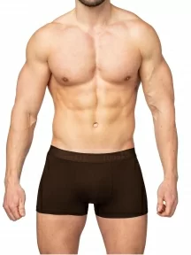 Мужские трусы-боксеры из вискозы Tuosite, TS7801-1, КОРИЧНЕВЫЕ