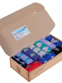 Набор из 10 пар мужских носков MSCLUB №М25, ВИ10-НМ25, микс "ИНОПЛАНЕТЯНЕ"