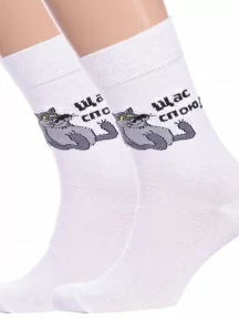 Комплект из 2 пар мужских носков Брестские (БЧК), 2-23С2155, рис. 493, БЕЛЫЕ