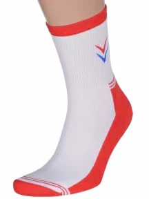 Комплект из 2 пар мужских спортивных носков с махровым следом LORENZLine, 2-С18М, КРАСНО-БЕЛЫЕ