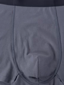 Мужские трусы-боксеры из модала и хлопка Sergio Dallini, SD2901-6, СЕРЫЕ