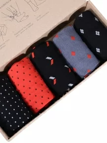 Набор из 5 пар мужских носков "Нева-Сокс", НС-5-НМ205, "Men in black"