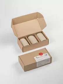 Набор из 3 пар мужских носков MSCLUB, 3-ПН-01, БЕЖЕВЫЕ