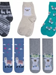 Комплект из 5 пар детских носков RuSocks (Орудьевский трикотаж), 5-Д3-13159, микс 1