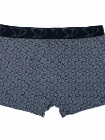 Мужские трусы-боксеры SD (by Salvador Dali), SD2023-1, СЕРЫЕ