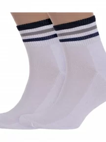 Комплект из 2 пар мужских спортивных носков с махровым следом LORENZLine, 2-С5М, БЕЛЫЕ