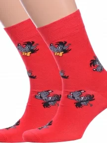 Комплект из 2 пар мужских носков Брестские (БЧК), 2-23С2155, рис. 498, ВИШНЕВЫЕ