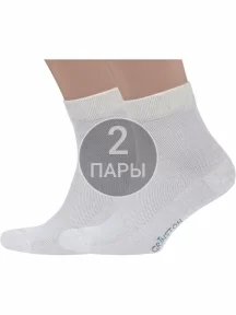 Комплект из 2 пар мужских носков Grinston socks из микромодала и льна, 2-15D32, НАТУРАЛЬНЫЕ