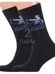 Комплект из 2 пар мужских носков "Красная ветка" ЧЕРНЫЕ (2-С-2066)