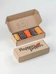 Набор из 5 пар женских носков Flappers Peppers, 5-1МБ19Ж-2, микс