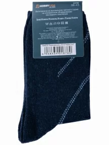 Мужские теплые носки Hobby Line, 6283, ТЕМНО-СИНИЕ