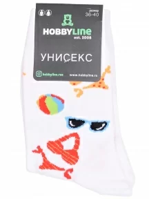 Носки унисекс Hobby Line, нус80138-2-10, БЕЛЫЕ