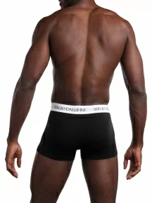 Мужские трусы-боксеры Sergio Dallini, SD2941-5, ЧЕРНЫЕ