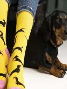 Носки unisex St. Friday Socks, 768-8, "Каждый охотник должен знать меня"