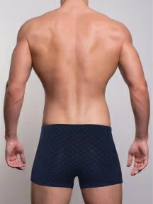 Мужские трусы-боксеры SD (by Salvador Dali), SD1103-3, СИНИЕ