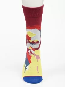 Унисекс носки Oemen, PM405, рис. 405 "Лев Толстой"