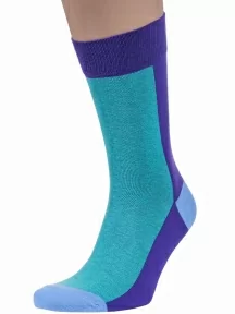 Набор из 5 пар мужских носков "Нева-Сокс", НС-5-НМ202, микс "Ментоловый гонщик"