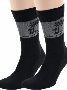 Комплект из 2 пар мужских носков ХОХ из вискозы, 2-X-1202, ЧЕРНЫЕ