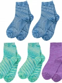 Комплект из 5 пар детских носков LORENZLine, 5-Л106, микс 8