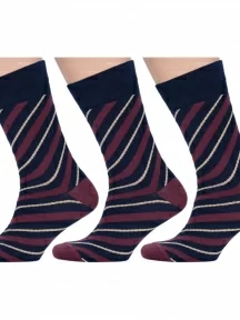Комплект из 3 пар мужских носков MSCLUB №М33, msk3-М33, nm-355, СИНЕ-БОРДОВЫЕ