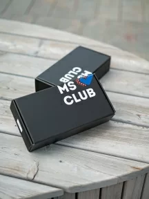 Набор из 10 пар мужских носков MSCLUB №М53, ВИ10-НМ53, микс СССР 4