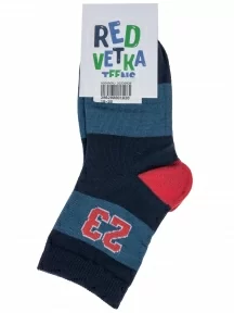 Детские носки "Красная ветка", С-2156, СИНИЕ