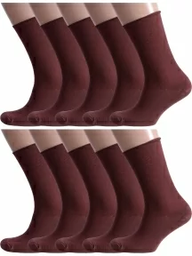 Комплект из 10 пар мужских носков Альтаир, 10-С198, ШОКОЛАД