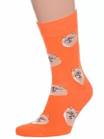 Носки унисекс Брестские (БЧК), 21С4200, рис. 159, ТЕМНО-ОРАНЖЕВЫЕ