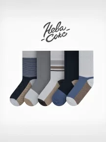 Набор из 5 пар мужских носков "Нева-Сокс", НС-5-НМ46, микс "Зима в городе"