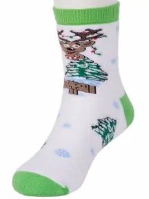 Набор из 10 пар детских махровых носков LORENZline, Л47-10, микс