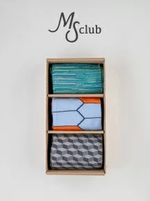 Набор из 3 пар мужских носков MSCLUB №М23, ВИ3-НМ23, "Небесная черепаха"