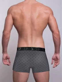 Мужские трусы-боксеры SD (by Salvador Dali), SD1105-3, СЕРЫЕ