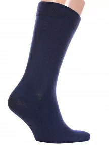 Мужские носки «Красная ветка», С-2067, СИНИЕ