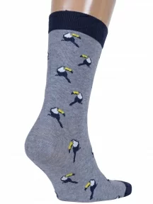 Мужские носки "Красная ветка", С-197, СЕРЫЕ