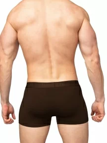 Мужские трусы-боксеры из вискозы Tuosite, TS7801-1, КОРИЧНЕВЫЕ