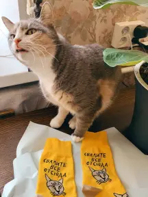 Носки unisex St. Friday Socks "Кот, у которого все дома" (760-8)