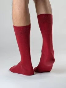 Набор из 3 пар мужских носков MSCLUB, 3-ПН-01, БОРДОВЫЕ