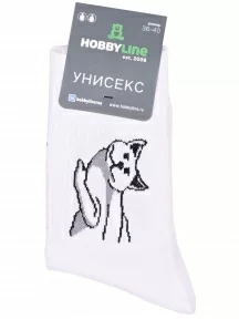 Спортивные носки Hobby Line, нус80159-01-32-03, БЕЛЫЕ