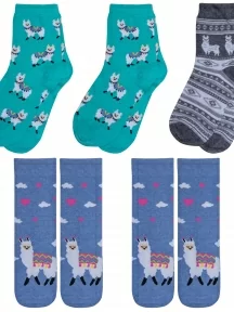 Комплект из 5 пар детских носков RuSocks (Орудьевский трикотаж), 5-Д3-13159, микс 4